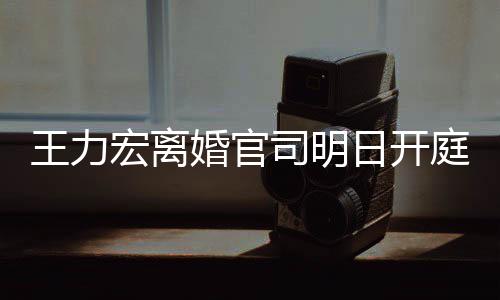 多项对决庭 宏离婚官王力均提证据日开司明双方