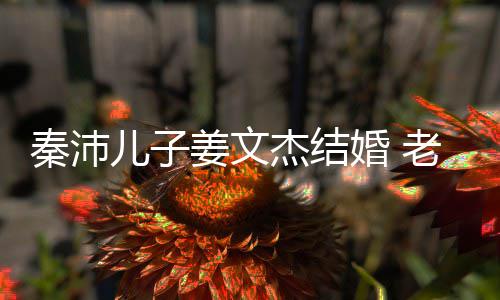 儿子选美出身长相出众老婆婚 漂亮姜文杰结秦沛气质