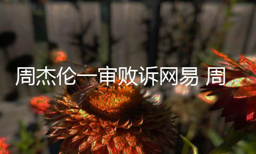 伦一伦诉网易周杰周杰开庭案二易 审败诉网审将