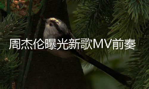 信光新歌M天阿伦曝回到五月我也周杰奏 V前岁