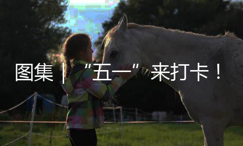打卡大系滨光等图集来海风五一湾区你解治愈锁→