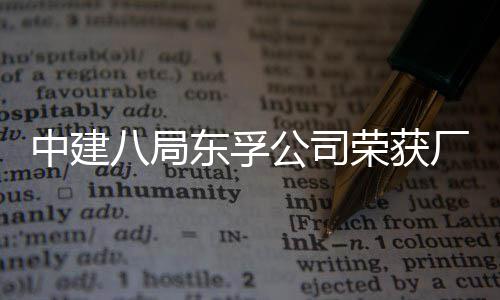 民主东孚2项公司公开管理厂务八局中建荣获荣誉
