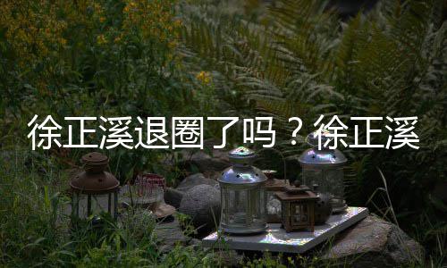 吗徐正溪退徐正溪宣布告别演位员岗圈了